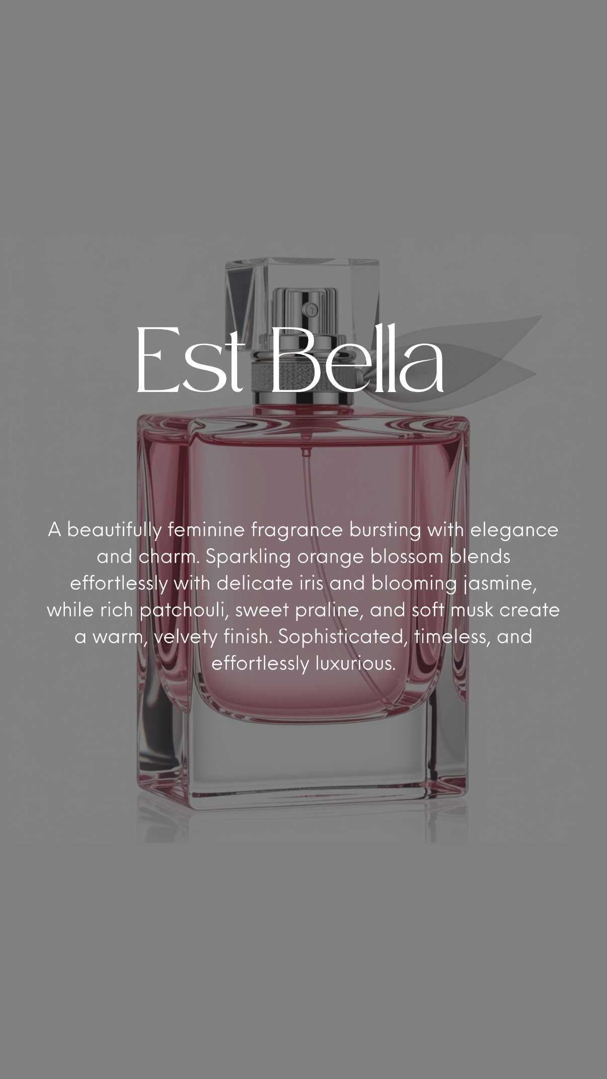 Perfume Scent Fragranced Fizzer